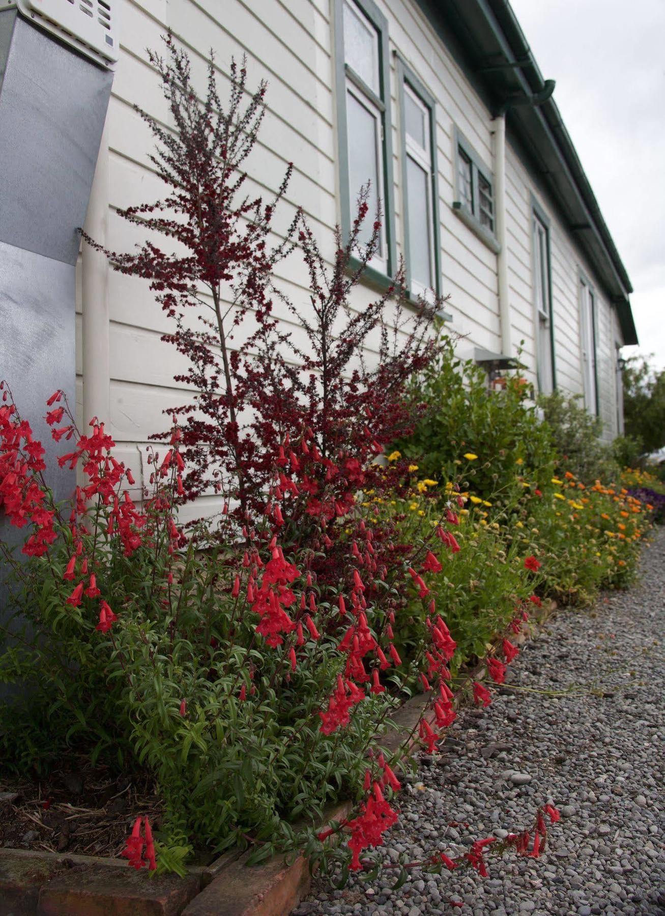 Pinedale Lodge&Apartment Methven Esterno foto