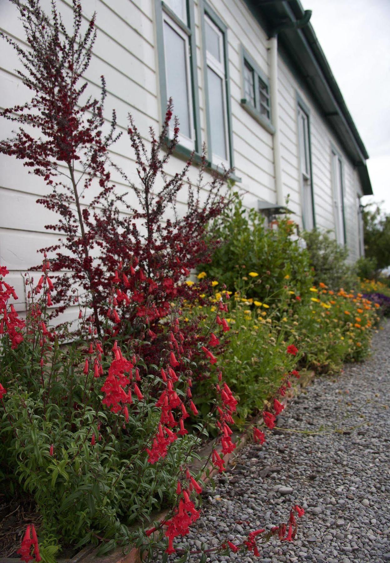 Pinedale Lodge&Apartment Methven Esterno foto